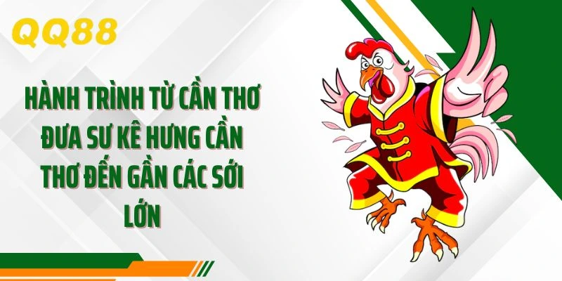 Hành trình từ Cần Thơ đưa sư kê Hưng Cần Thơ đến gần các sới lớn